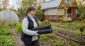 Скупаю в «Чижике» строительное полотно, но стройка тут не при чем: вот как она спасает меня на даче осенью и весной