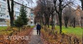 В Нижнем Новгороде пенсионер отдал аферистам золотые монеты на восемь миллионов