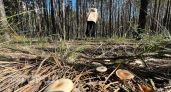 МЧС на неделю запретили нижегородцам ходить в лес