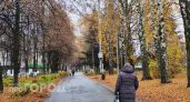 Сырость, холод и дождь: посреди недели нижегородцам пригодятся зонты и теплые куртки