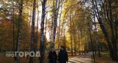 Легкая прохлада и ясный день: нижегородцев ждет комфортная осенняя погода без дождя