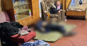 Смертельное нападение в Навашине, отстрел медведей в Шахунье и реставрация исторических зданий: главные новости за 7 октября