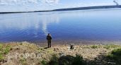 Нижегородцы вытаскивают из рек жутких язвенных щук