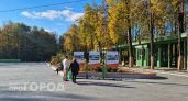 Один из последних солнечных и теплых дней этой осени ждет нижегородцев
