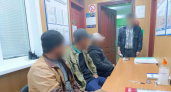 Минивэн с нелегалами задержали в Починковском районе
