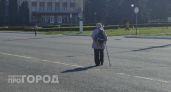 Нижегородка отдала курьеру в кустах миллион рублей 