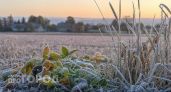 Нижегородцев на этой неделе ожидают первые заморозки