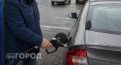 Эксперт объяснил, почему Нижегородской области больше не грозит дефицит бензина