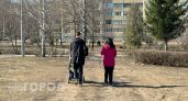 Нижегородские семьи могут узнать о положенных выплатах без бумажной волокиты