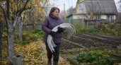 Пластиковые дуги с Ozon скупаю охапками: соединяю в тоннель — и грядка зимует под защитным куполом