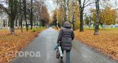 Голос в телефоне убедил жительницу Павлова выйти на улицу и отдать 7 миллионов курьеру 