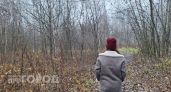 4 градуса тепла, но без дождя: прохладные выходные придут в Нижний Новгород