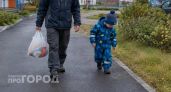 Нижегородцы массово уходят в декрет вместо жен 