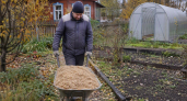 Не утеплитель, а термос для стен: как древесный замес из 2 средств сохраняет каждую крупицу тепла в доме