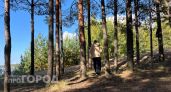 Нижегородскую компанию заставили спасать от леса 200 гектаров заброшенной земли