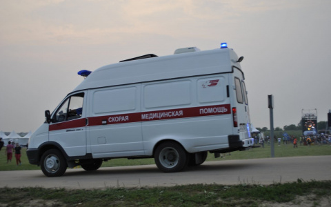 Соцработница погибла по дороге к подопечной в Сеченовском районе
