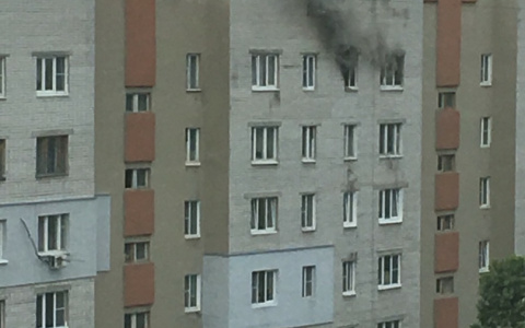Мужчина заживо сгорел в собственной квартире в Московском районе (ФОТО, ВИДЕО)