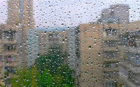 Дожди придут в Нижний Новгород в День народного единства