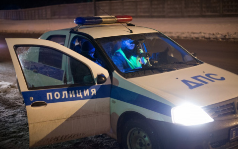 Девочка и женщина погибли в лобовом ДТП в Шатковском районе
