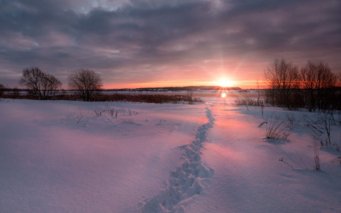 Путешественник в кроссовках из Нижегородской области едва не замерз посреди Волги