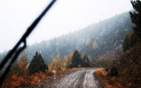 Ливни, мокрый снег и сильный ветер обрушатся на Нижегородскую область