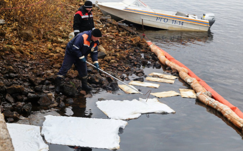 Более тысячи литров нефтепродуктов собрали с поверхности Волги в Бурнаковской низине