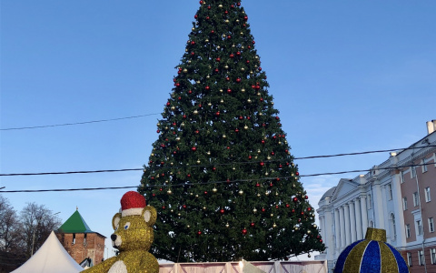 У кого выше: новогодняя елка в Нижнем Новгороде стала восьмой по высоте в России
