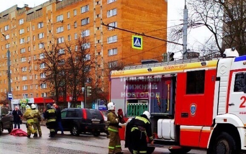 Водитель сбил 18-летнего нижегородца, переходящего дорогу на зеленый свет, и уехал с места ДТП