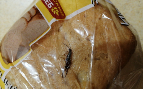 Неприятные и ужасающие находки в продуктах: что делать в таких ситуациях