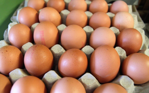 Яйца, капуста и свежемороженная рыба подешевели в Нижегородской области