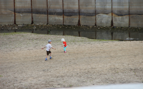 «Воспитывайте сами»: разведенные мужчины требуют отменить алименты на детей