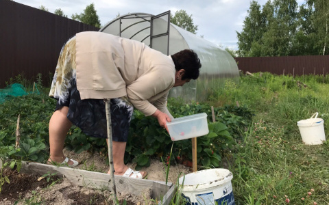 Глеб Никитин разъяснил нижегородцам правила дачной самоизоляции