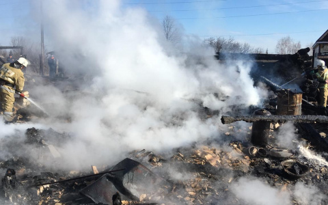 В страшном пожаре в Воскресенском районе погибли двое маленьких детей (ВИДЕО)