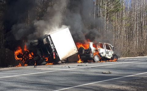 Многодетная женщина погибла в страшном ДТП на нижегородской трассе (ФОТО, ВИДЕО)