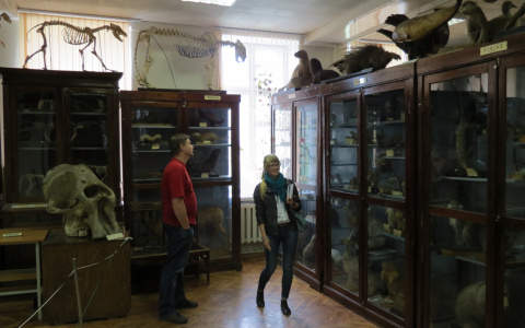 Нижегородцам рассказали, почему библиотеки опаснее музеев