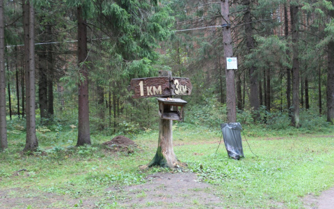 Оштрафован участник скандально известного хоровода в Стригинском бору