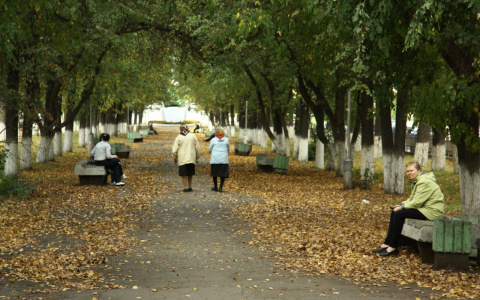 Эпидемиологи допускают наложение второй волны коронавируса на грипп осенью