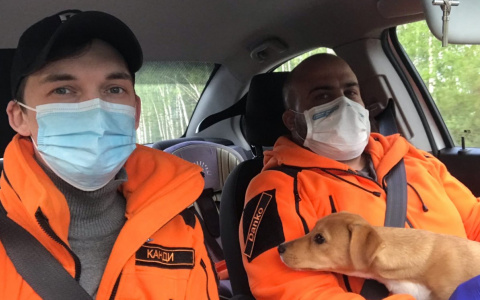 «Оформляем QR-код»: как волонтеры ищут пропавших нижегородцев в пандемию