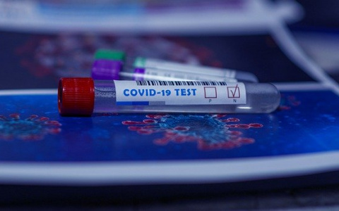 «Еще бы противогазы на детей одели»: в пунктах сдачи ЕГЭ могут появиться тесты на коронавирус