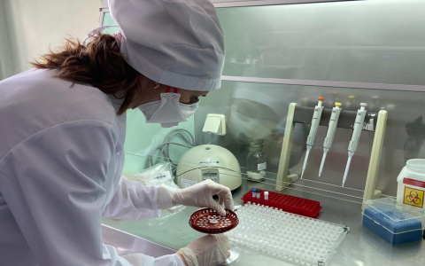 Будут ли бесплатно тестировать на COVID нижегородцев, уезжающих в санатории