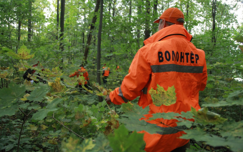 Олег Лавричев: «Без сильного гражданского общества не может быть сильного государства»