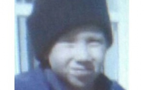 Нижегородские волонтеры ищут пропавшего на Бору 10-летнего Толика Леухина