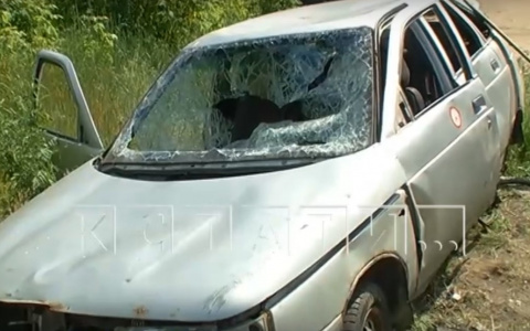 На Мещере появилась банда подростков, громящих автомобили (ФОТО, ВИДЕО)