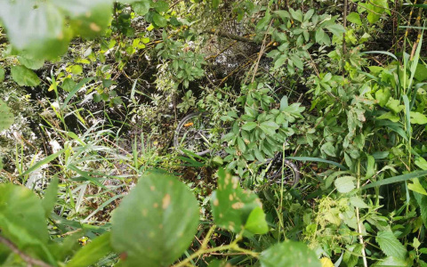 Иномарка насмерть сбила 15-летнего велосипедиста в Кулебакском районе