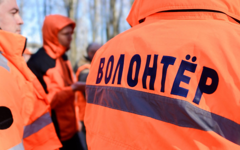 Четыре ошибки: что нижегородцам нельзя делать в лесу, чтобы не потеряться