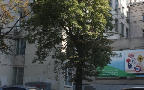 Топ новшеств, которые ожидают водителей уже этой осенью