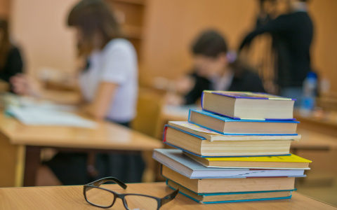 Никитин прокомментировал покупку учебных пособий в нижегородских школах