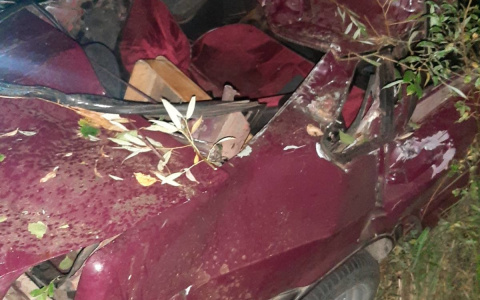 18-летний парень устроил ДТП с шестью пострадавшими в Починковском районе