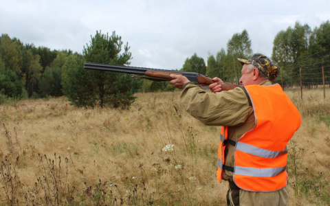 Диких зверей в нижегородских лесах стало больше, а охотникам разрешили стрелять из лука