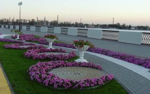 "Сны становятся реальностью": если обратиться в нужную организацию